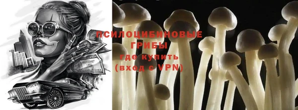 эйфоретик Медногорск