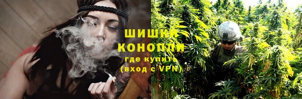 PSILOCYBIN Медвежьегорск